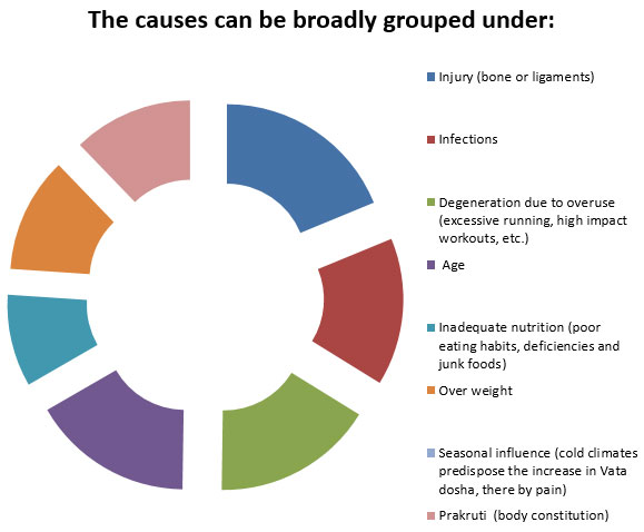 Causes of Knee Pain