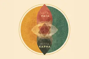 The Three Doshas Explained: Vata, Pitta, and Kapha in Modern Life