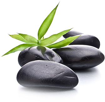 Ayurvedic and Natural Healing Centre